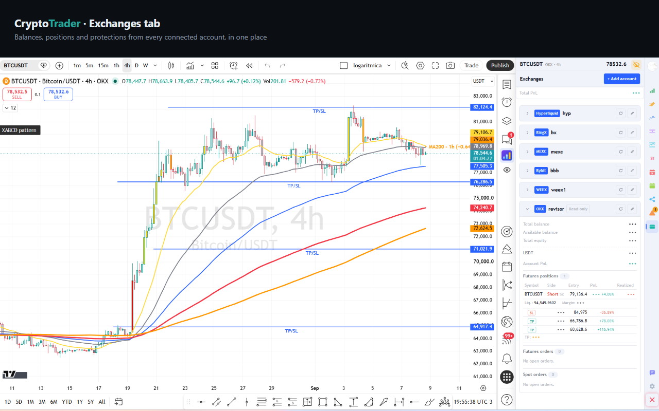 Exchanges tab of the sidebar showing the collapsible Bybit account, balances hidden by privacy mode, a futures position and the linked TP and SL orders.